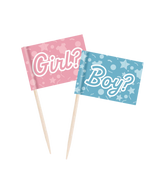 Gender Reveal Cocktailprikkers 50st