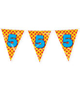 Vlaggenlijn 5 Jaar Gekleurd 10m