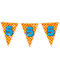 Vlaggenlijn 5 Jaar Gekleurd 10m