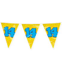 Vlaggenlijn 14 Jaar Gekleurd 10m