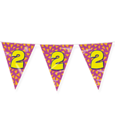 Vlaggenlijn 2 Jaar Gekleurd 10m