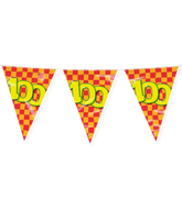 Vlaggenlijn 100 Jaar Gekleurd 10m