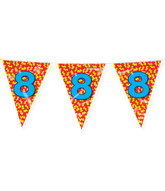 Vlaggenlijn 8 Jaar Gekleurd 10m