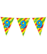 Vlaggenlijn 9 Jaar Gekleurd 10m