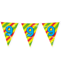 Vlaggenlijn 9 Jaar Gekleurd 10m