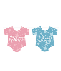 Slingers Gender Reveal 6m