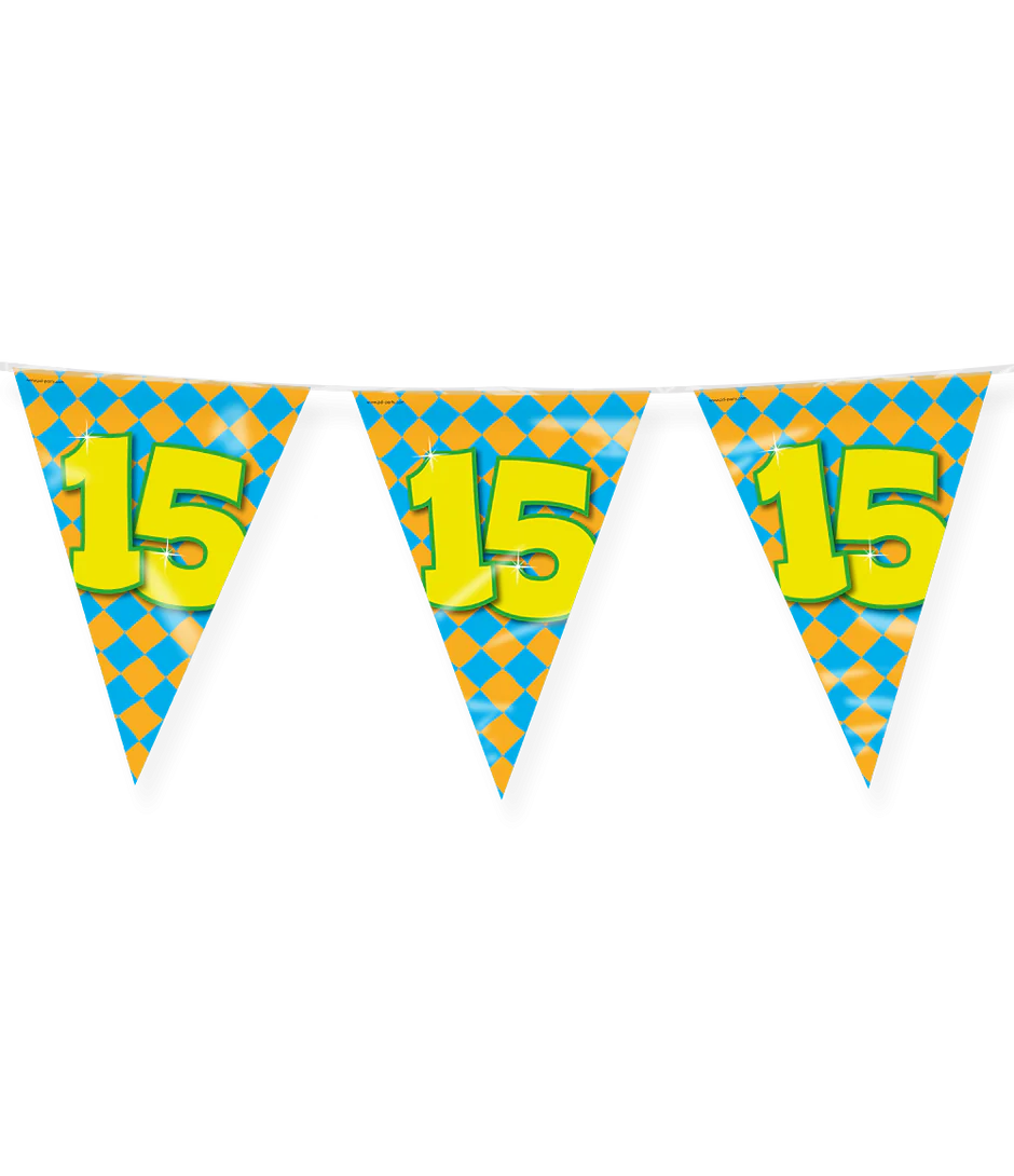 Vlaggenlijn 15 Jaar Gekleurd 10m