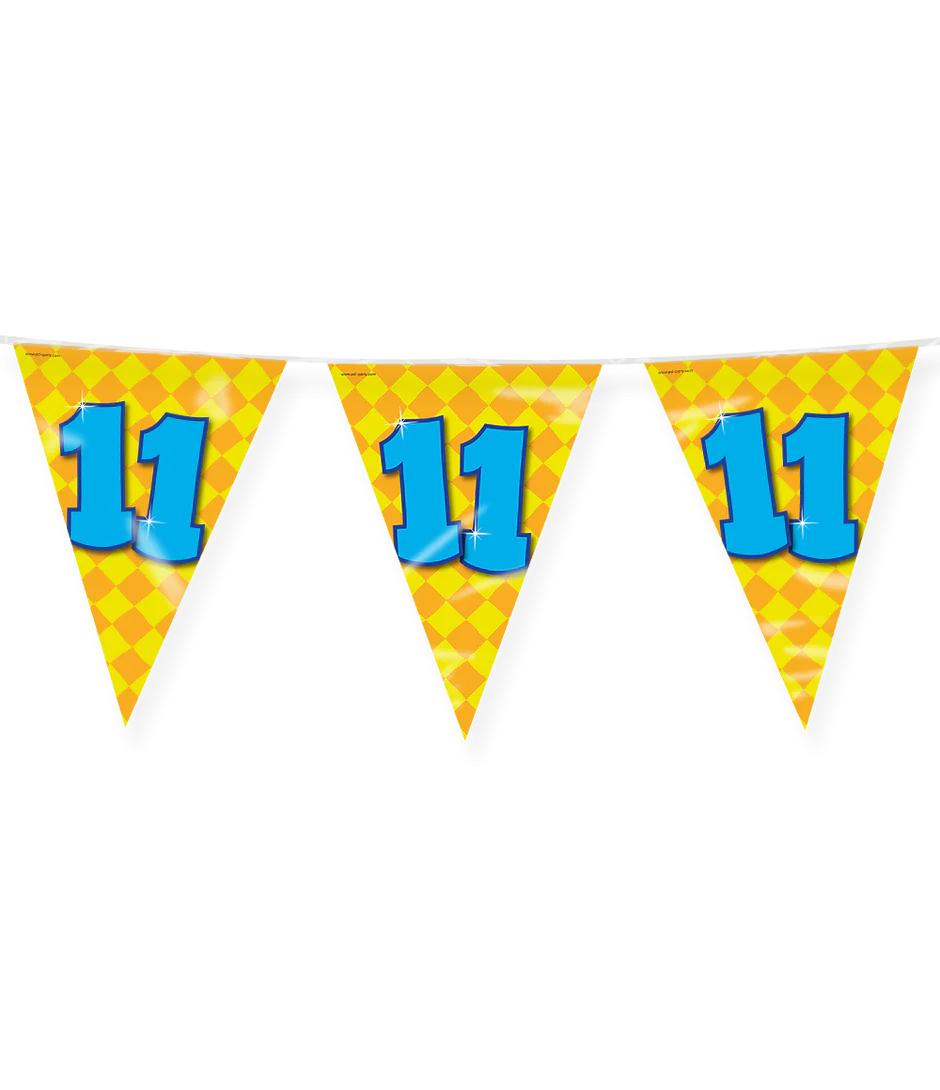 Vlaggenlijn 11 Jaar Gekleurd 10m