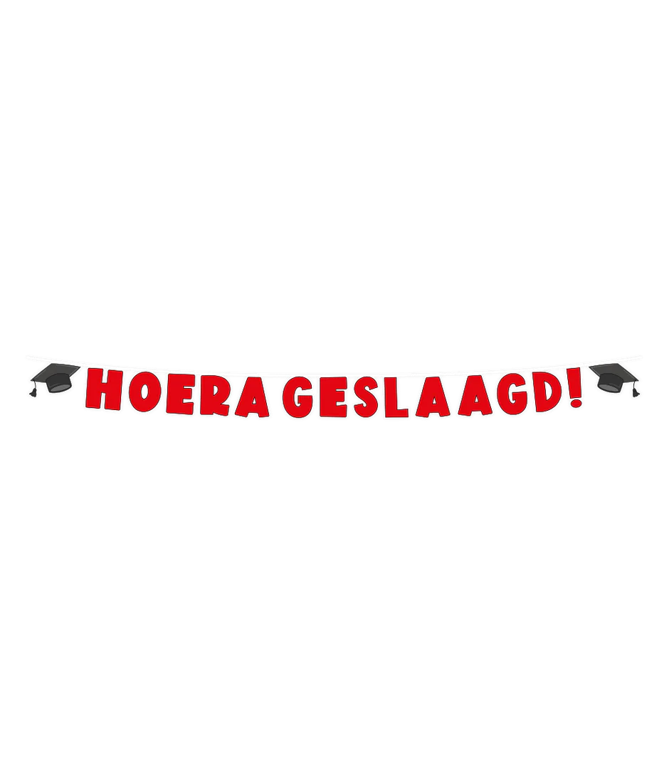Geslaagd Letterslinger