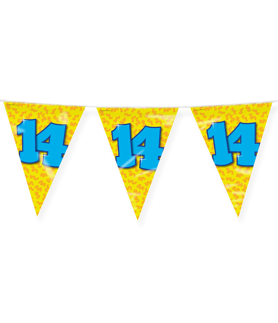 Vlaggenlijn 14 Jaar Gekleurd 10m