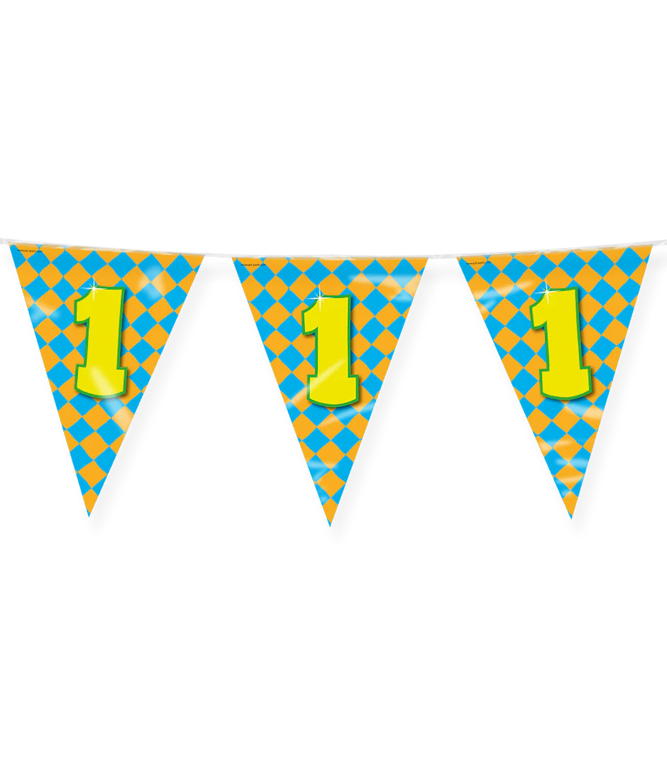 Vlaggenlijn 1 Jaar Gekleurd 10m
