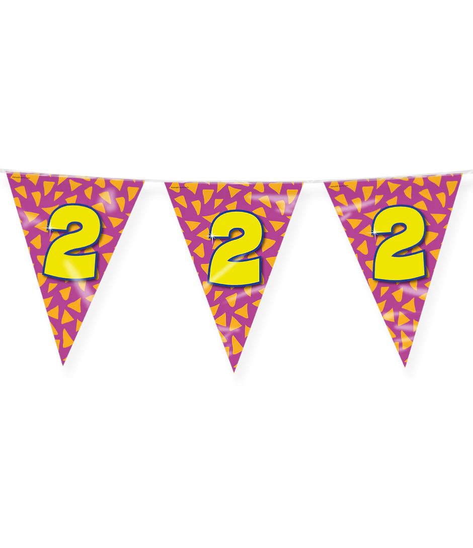 Vlaggenlijn 2 Jaar Gekleurd 10m