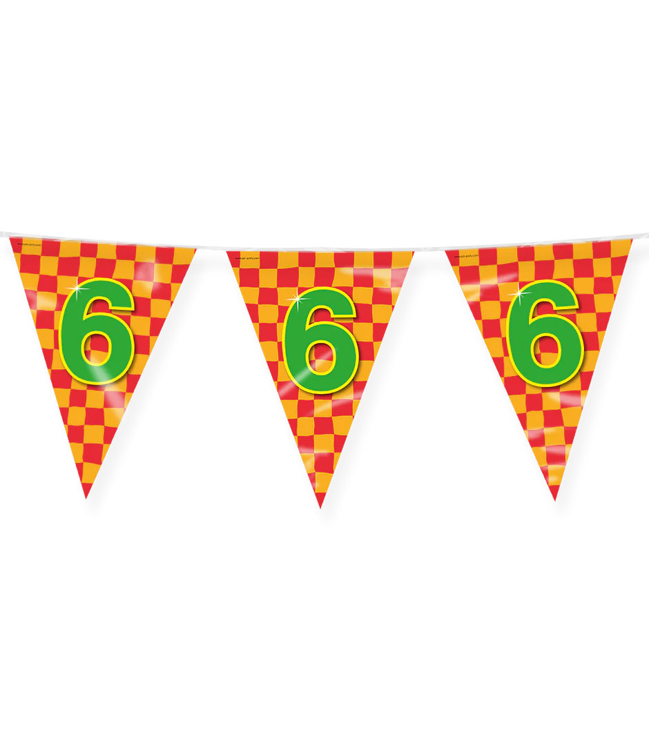 Vlaggenlijn 6 Jaar Gekleurd 10m