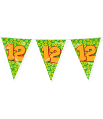 Vlaggenlijn 12 Jaar Gekleurd 10m