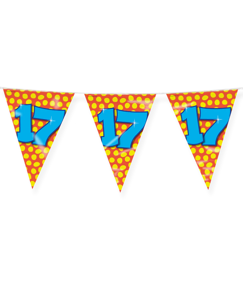 Vlaggenlijn 17 Jaar Gekleurd 10m