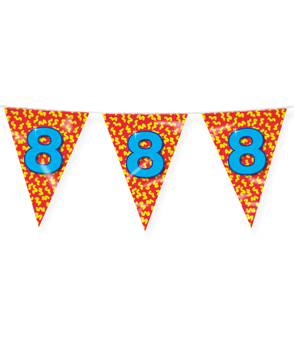 Vlaggenlijn 8 Jaar Gekleurd 10m
