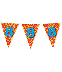 Vlaggenlijn 8 Jaar Gekleurd 10m