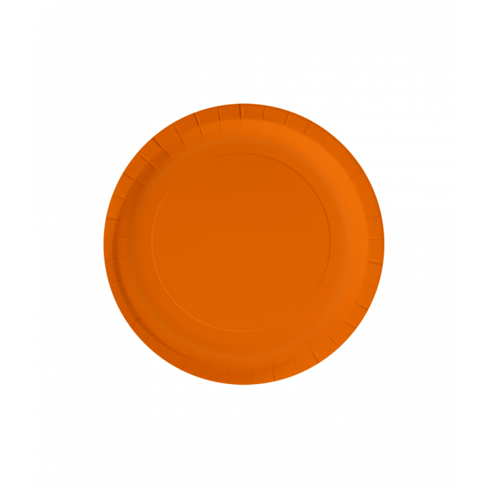 Papieren Bordjes Oranje 8 Stuks