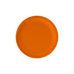 Papieren Bordjes Oranje 8 Stuks