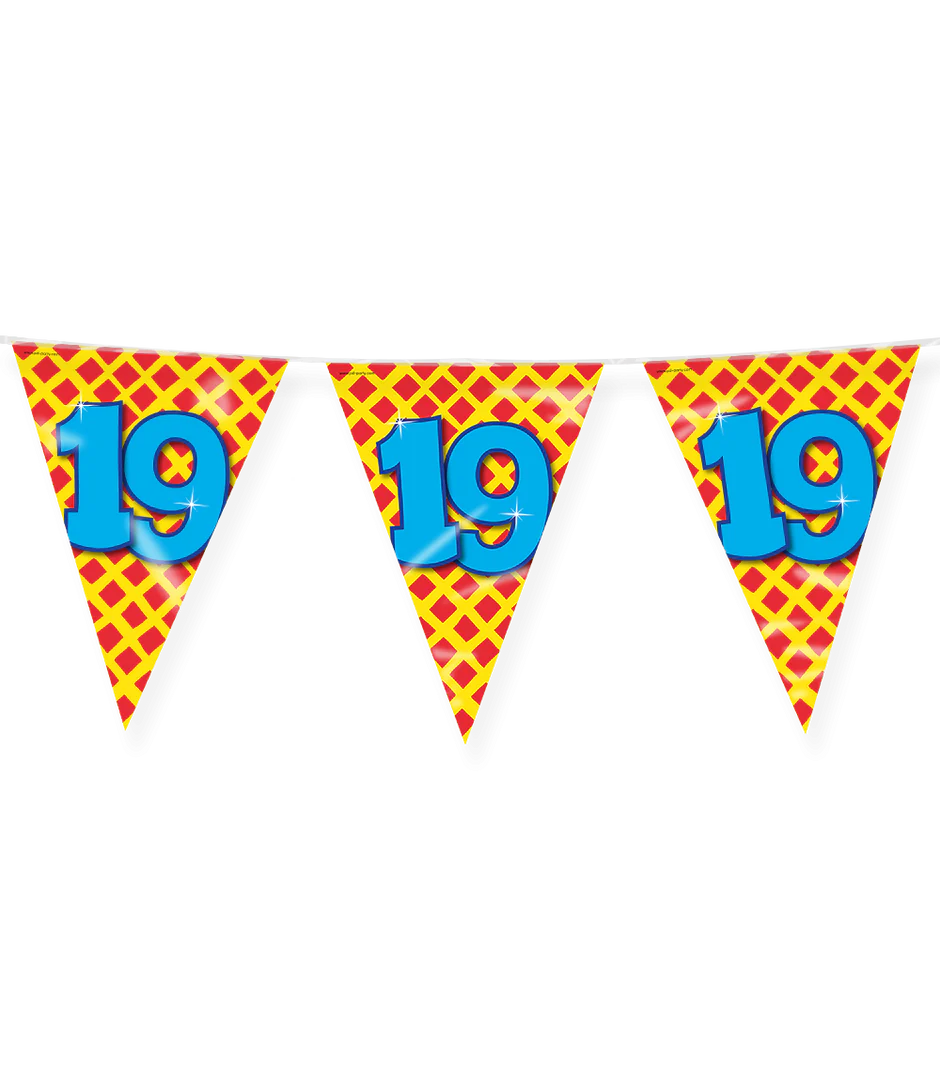 Vlaggenlijn 19 Jaar Gekleurd 10m