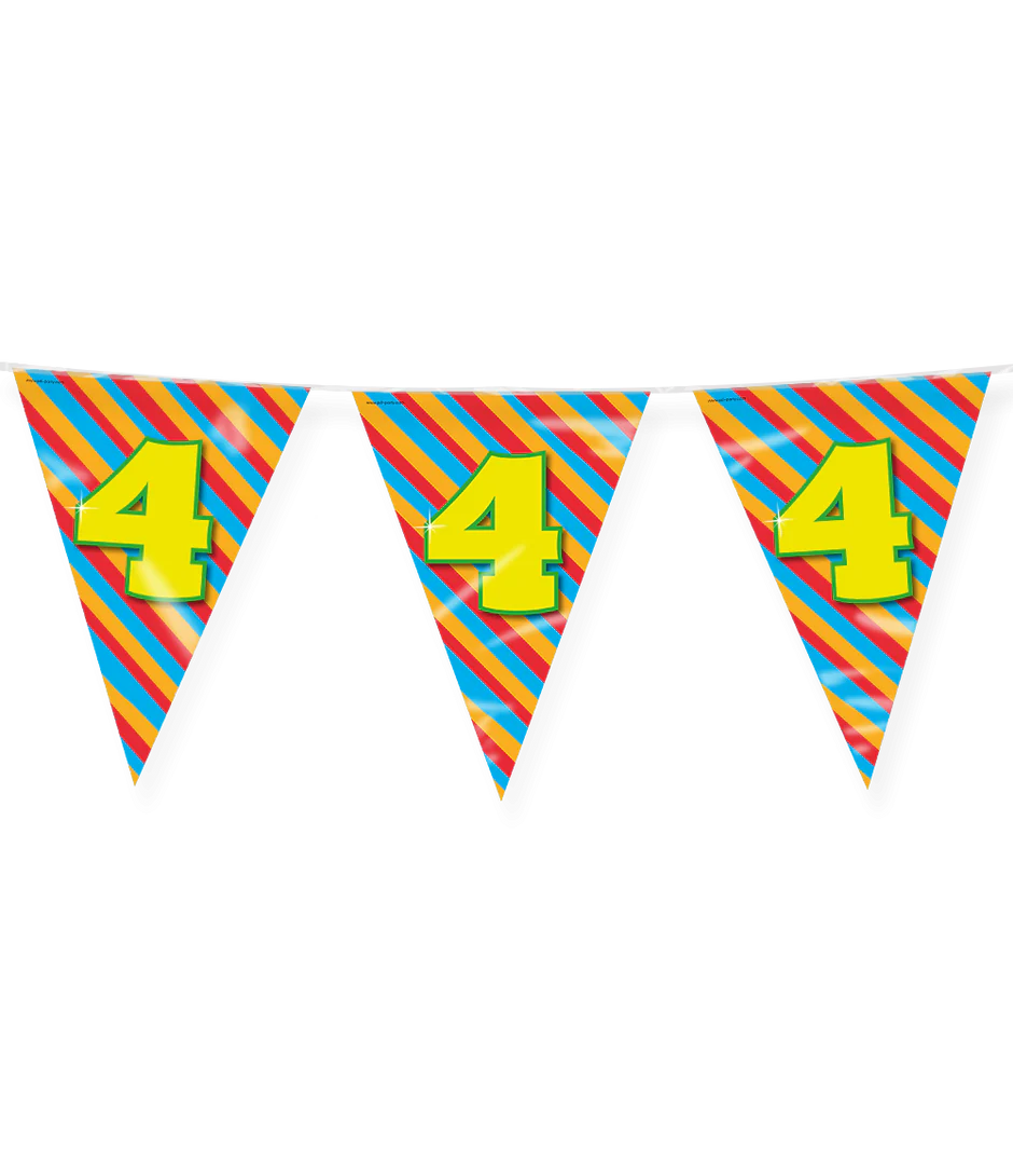 Vlaggenlijn 4 Jaar Gekleurd 10m