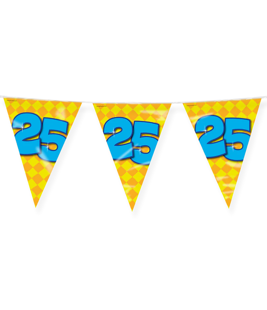 Gekleurd Vlaggenlijn 25 Jaar 10m