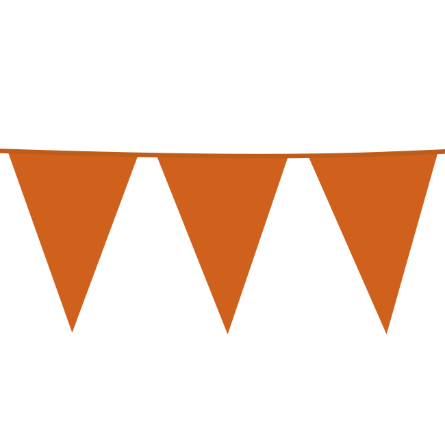 Vlaggenlijn Oranje 10m XL